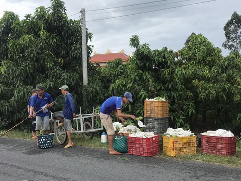 Giá cả hằng ngày 19-7: Siêu thị sale trái cây rau củ để hạ nhiệt; giá heo hơi tăng cao - Ảnh 7. Giá cả hằng ngày 19-7: Siêu thị sale trái cây rau củ để hạ nhiệt; giá heo hơi tăng cao - Ảnh 7.