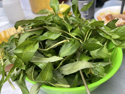 Về Phan Thiết thì cứ “tối mì quảng, sáng bún bò dơ” - Ảnh 7. Về Phan Thiết thì cứ “tối mì quảng, sáng bún bò dơ” - Ảnh 7.