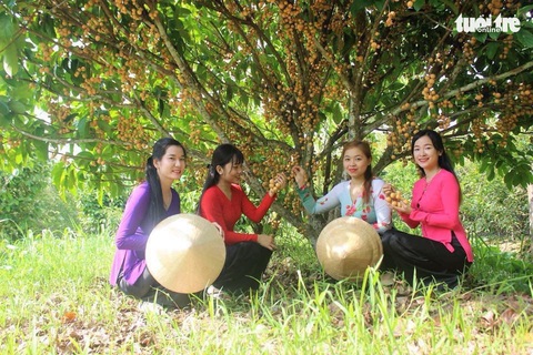 Giá cả hằng ngày 2-7: Săn hàng giá rẻ ở siêu thị; An Giang bán tour trên Shopee - Ảnh 4. Giá cả hằng ngày 2-7: Săn hàng giá rẻ ở siêu thị; An Giang bán tour trên Shopee - Ảnh 4.