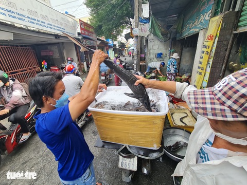 Cưa đôi bình xăng để chung sống thời bão giá - Ảnh 4. Cưa đôi bình xăng để chung sống thời bão giá - Ảnh 4.