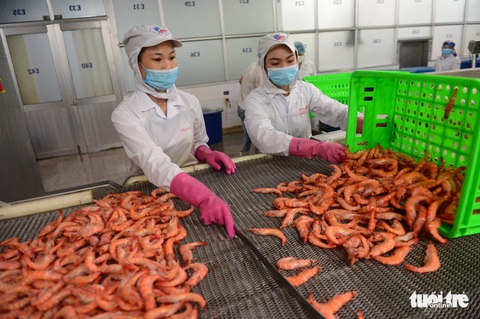 Sáu tháng đầu năm, xuất khẩu cá tôm đạt gần 6 tỉ USD - Ảnh 1. Sáu tháng đầu năm, xuất khẩu cá tôm đạt gần 6 tỉ USD - Ảnh 1.