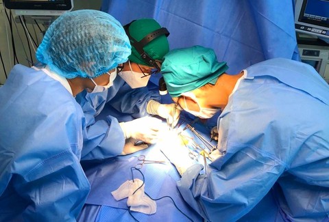 Bị ong tấn công đốt hơn 15 nốt, bé trai phải chạy ECMO, lọc máu liên tục - Ảnh 1. Bị ong tấn công đốt hơn 15 nốt, bé trai phải chạy ECMO, lọc máu liên tục - Ảnh 1.