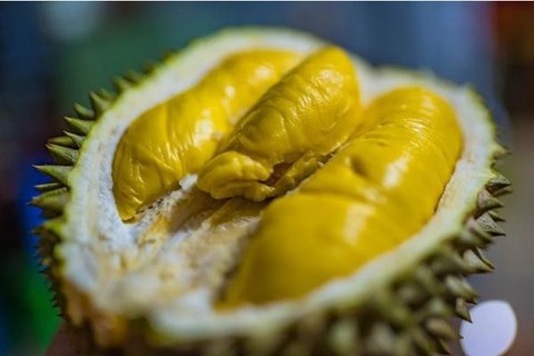 Thái Lan sáng tạo thành công giống sầu riêng hổng có thúi - Ảnh 1. Thái Lan sáng tạo thành công giống sầu riêng hổng có thúi - Ảnh 1.