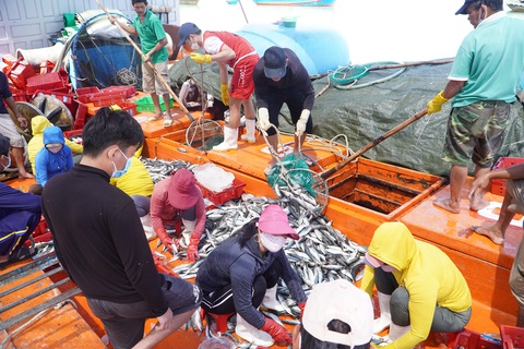Quảng Ngãi vận động ngân hàng khoanh nợ, giãn nợ để tàu cá vươn khơi - Ảnh 2. Quảng Ngãi vận động ngân hàng khoanh nợ, giãn nợ để tàu cá vươn khơi - Ảnh 2.