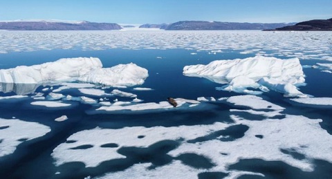 Thời tiết ấm bất thường, băng ở Greenland đang tan nhanh - Ảnh 3. Thời tiết ấm bất thường, băng ở Greenland đang tan nhanh - Ảnh 3.