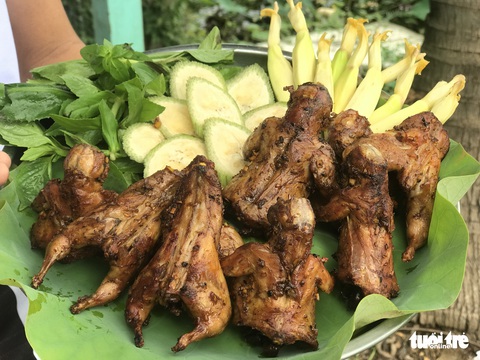 Chuột đồng nướng sa tế chấm chao - mỹ vị nhân gian phải tự mình nếm trải... - Ảnh 5. Chuột đồng nướng sa tế chấm chao - mỹ vị nhân gian phải tự mình nếm trải... - Ảnh 5.