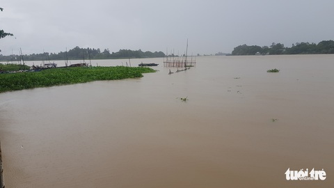 Nước đổ về nhiều, dân đầu nguồn sông Tiền, sông Hậu phấn khởi chuẩn bị đánh bắt cá - Ảnh 4. Nước đổ về nhiều, dân đầu nguồn sông Tiền, sông Hậu phấn khởi chuẩn bị đánh bắt cá - Ảnh 4.