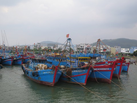 Quảng Ngãi vận động ngân hàng khoanh nợ, giãn nợ để tàu cá vươn khơi - Ảnh 1. Quảng Ngãi vận động ngân hàng khoanh nợ, giãn nợ để tàu cá vươn khơi - Ảnh 1.