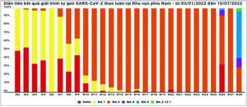 Biến thể phụ BA.2.12.1 nguồn gốc từ đâu? - Ảnh 1. Biến thể phụ BA.2.12.1 nguồn gốc từ đâu? - Ảnh 1.