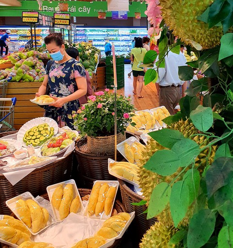 Khách hàng chọn mua sầu riêng Đăk Nông Khách hàng chọn mua sầu riêng Đăk Nông