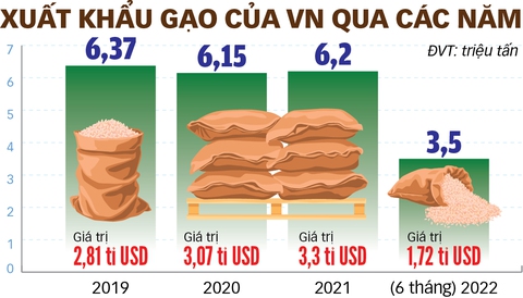 Vì sao gạo Việt đi thi hàng đầu thế giới, lại không dễ vào thị trường Âu - Mỹ? - Ảnh 3. Vì sao gạo Việt đi thi hàng đầu thế giới, lại không dễ vào thị trường Âu - Mỹ? - Ảnh 3.