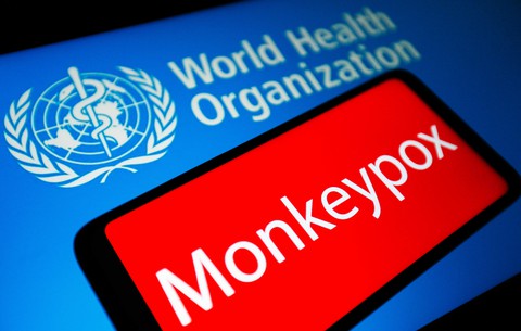 NÓNG: WHO tuyên bố đậu mùa khỉ là tình trạng khẩn cấp y tế toàn cầu - Ảnh 1. NÓNG: WHO tuyên bố đậu mùa khỉ là tình trạng khẩn cấp y tế toàn cầu - Ảnh 1.