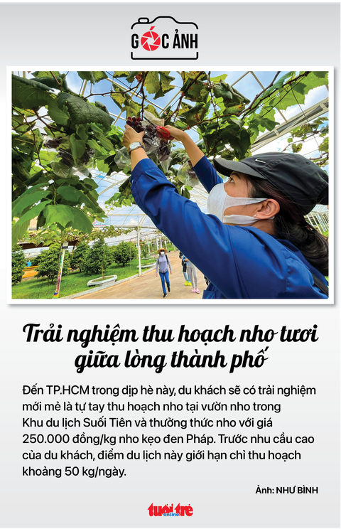 Tin sáng 24-7: Giá thép tiếp tục lao dốc; Nhà ở cao cấp áp đảo nguồn cung căn hộ TP.HCM - Ảnh 7. Tin sáng 24-7: Giá thép tiếp tục lao dốc; Nhà ở cao cấp áp đảo nguồn cung căn hộ TP.HCM - Ảnh 7.