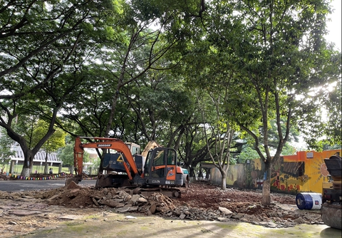 Thi công cải tạo vỉa hè làm cây me cổ thụ bật gốc - Ảnh 3. Thi công cải tạo vỉa hè làm cây me cổ thụ bật gốc - Ảnh 3.