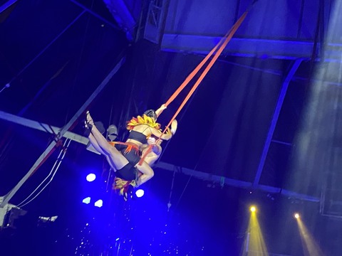 Được khán giả mê tít, xiếc trên mặt nước Bí ẩn nơi đảo hoang nối dài xuất diễn - Ảnh 8. Được khán giả mê tít, xiếc trên mặt nước Bí ẩn nơi đảo hoang nối dài xuất diễn - Ảnh 8.