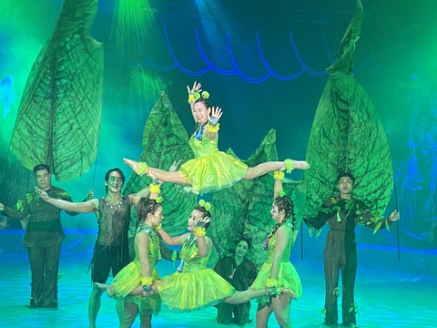 Được khán giả mê tít, xiếc trên mặt nước Bí ẩn nơi đảo hoang nối dài xuất diễn - Ảnh 7. Được khán giả mê tít, xiếc trên mặt nước Bí ẩn nơi đảo hoang nối dài xuất diễn - Ảnh 7.