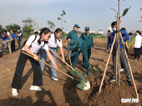 Trồng 500 cây dầu rái tạo mảng xanh cho đô thị - Ảnh 2. Trồng 500 cây dầu rái tạo mảng xanh cho đô thị - Ảnh 2.