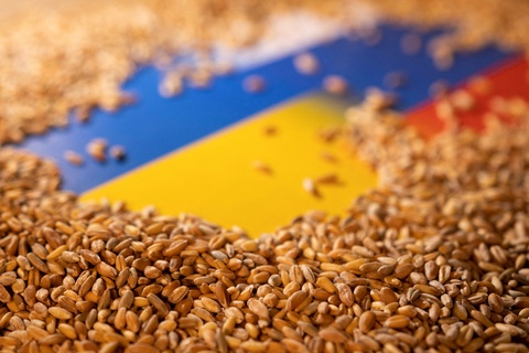 Cảng Odessa bị tấn công: Ukraine vẫn xuất khẩu lương thực - Ảnh 1. Cảng Odessa bị tấn công: Ukraine vẫn xuất khẩu lương thực - Ảnh 1.