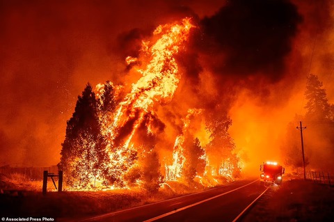 Cháy rừng kinh hoàng ở California, hơn 10.000 người sơ tán - Ảnh 1. Cháy rừng kinh hoàng ở California, hơn 10.000 người sơ tán - Ảnh 1.