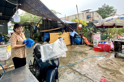 Xóm trọ chống muỗi độc - Ảnh 1. Xóm trọ chống muỗi độc - Ảnh 1.