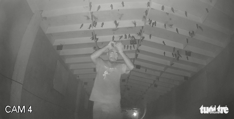 Trèo vào nhà yến, bẻ camera lấy trộm 600 tổ yến trị giá khoảng 100 triệu - Ảnh 1. Trèo vào nhà yến, bẻ camera lấy trộm 600 tổ yến trị giá khoảng 100 triệu - Ảnh 1.