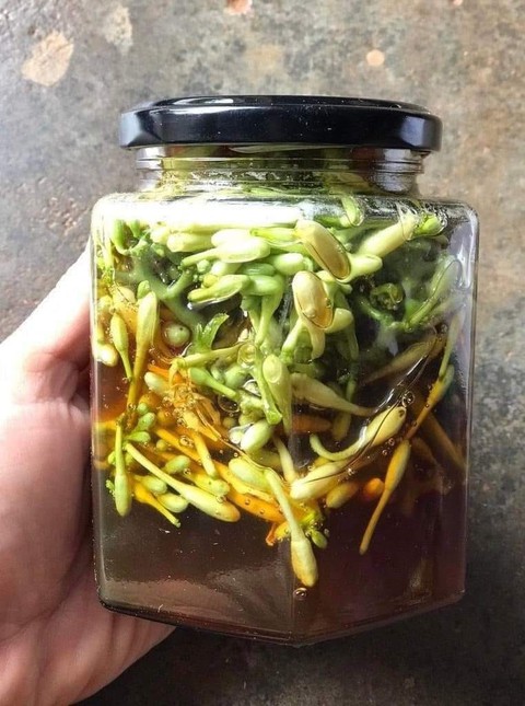 Đi ăn ong cùng cha ở U Minh Hạ - Ảnh 2. Đi ăn ong cùng cha ở U Minh Hạ - Ảnh 2.