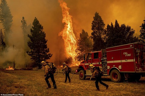 Cháy rừng kinh hoàng ở California, hơn 10.000 người sơ tán - Ảnh 6. Cháy rừng kinh hoàng ở California, hơn 10.000 người sơ tán - Ảnh 6.