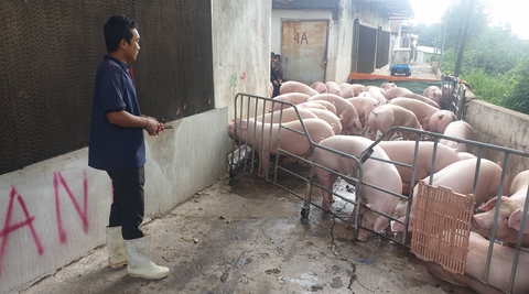 Giá cả hằng ngày 26-7: Giá thực phẩm tươi sống siêu thị giảm; rau củ chợ TP.HCM tăng trở lại - Ảnh 5. Giá cả hằng ngày 26-7: Giá thực phẩm tươi sống siêu thị giảm; rau củ chợ TP.HCM tăng trở lại - Ảnh 5.