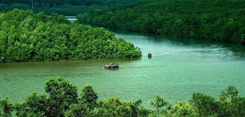 Cầu Long Biên, Văn Miếu Quốc Tử Giám, hang Sơn Đoòng... được xác lập kỷ lục bất biến - Ảnh 11. Cầu Long Biên, Văn Miếu Quốc Tử Giám, hang Sơn Đoòng... được xác lập kỷ lục bất biến - Ảnh 11.