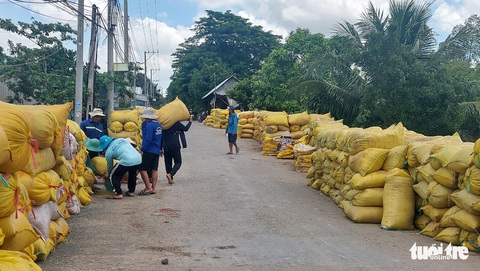 Người dân An Giang thu nhập thấp hơn bình quân cả nước do làm lúa? - Ảnh 1. Người dân An Giang thu nhập thấp hơn bình quân cả nước do làm lúa? - Ảnh 1.