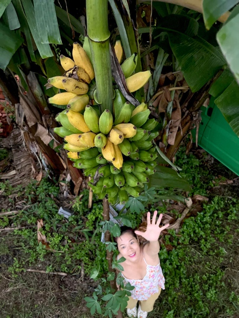 Mỹ Lệ làm nông dân, tự nuôi trồng phục vụ gia đình - Ảnh 2. Mỹ Lệ làm nông dân, tự nuôi trồng phục vụ gia đình - Ảnh 2.