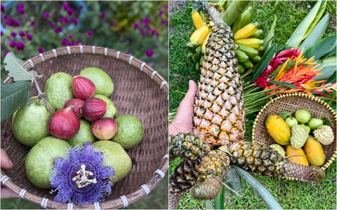 Mỹ Lệ làm nông dân, tự nuôi trồng phục vụ gia đình - Ảnh 4. Mỹ Lệ làm nông dân, tự nuôi trồng phục vụ gia đình - Ảnh 4.