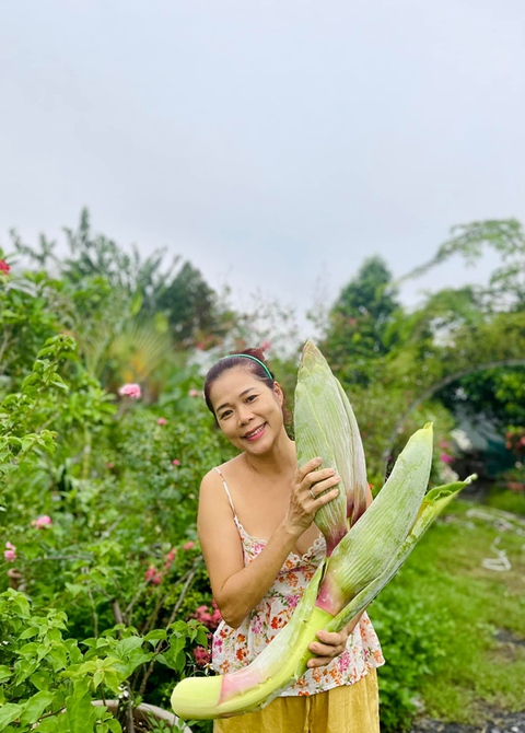 Mỹ Lệ làm nông dân, tự nuôi trồng phục vụ gia đình - Ảnh 5. Mỹ Lệ làm nông dân, tự nuôi trồng phục vụ gia đình - Ảnh 5.