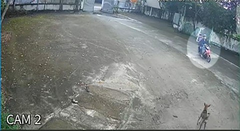 Bắt hai thanh niên xông vào nhà dân dùng súng bắn điện trộm chó - Ảnh 2. Bắt hai thanh niên xông vào nhà dân dùng súng bắn điện trộm chó - Ảnh 2.