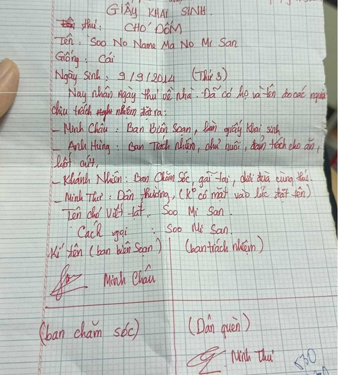 Khoe giấy khai sinh tự soạn cho... chó cưng, 10X khiến dân mạng lụi tim - Ảnh 1. Khoe giấy khai sinh tự soạn cho... chó cưng, 10X khiến dân mạng lụi tim - Ảnh 1.