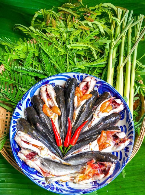 Cá chốt nấu lá me non, chua thanh và ngon thấm đẫm nơi đầu lưỡi - Ảnh 1. Cá chốt nấu lá me non, chua thanh và ngon thấm đẫm nơi đầu lưỡi - Ảnh 1.