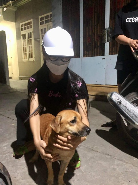 24 triệu đồng chuộc mạng 31 bé cún từ lò mổ và gởi tặng người muốn nuôi - Ảnh 2. 24 triệu đồng chuộc mạng 31 bé cún từ lò mổ và gởi tặng người muốn nuôi - Ảnh 2.