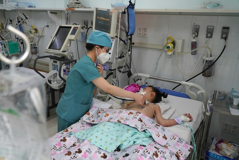 Số tử vong do sốt xuất huyết của bộ thấp hơn số thực tế? - Ảnh 1. Số tử vong do sốt xuất huyết của bộ thấp hơn số thực tế? - Ảnh 1.