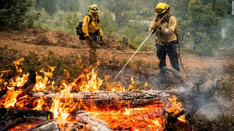 Hạn hán kỷ lục, hơn 8.000 hecta rừng cháy rụi ở California - Ảnh 3. Hạn hán kỷ lục, hơn 8.000 hecta rừng cháy rụi ở California - Ảnh 3.