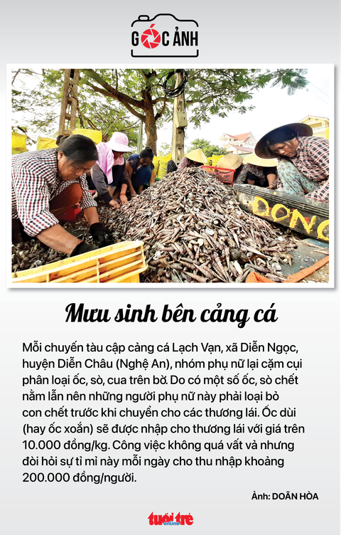Tin sáng 30-7: Hơn 950.000 khách quốc tế đến Việt Nam; Nghiên cứu thẻ ETC gắn với đăng kiểm xe - Ảnh 5. Tin sáng 30-7: Hơn 950.000 khách quốc tế đến Việt Nam; Nghiên cứu thẻ ETC gắn với đăng kiểm xe - Ảnh 5.