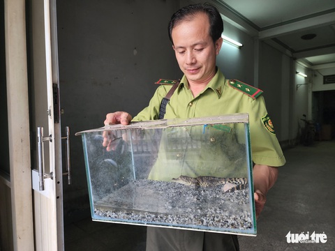 Con trai nuôi cá sấu ‘nhí’ trong tủ kính, mẹ giao liền cho kiểm lâm - Ảnh 2. Con trai nuôi cá sấu ‘nhí’ trong tủ kính, mẹ giao liền cho kiểm lâm - Ảnh 2.