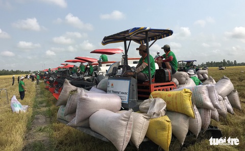 An Giang 190 năm, đi đầu trong mô hình cánh đồng mẫu lớn - Ảnh 2. An Giang 190 năm, đi đầu trong mô hình cánh đồng mẫu lớn - Ảnh 2.