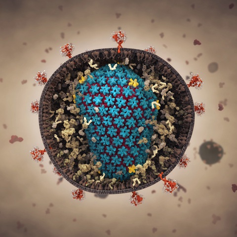Người thứ tư trên thế giới khỏi HIV - Ảnh 1. Người thứ tư trên thế giới khỏi HIV - Ảnh 1.