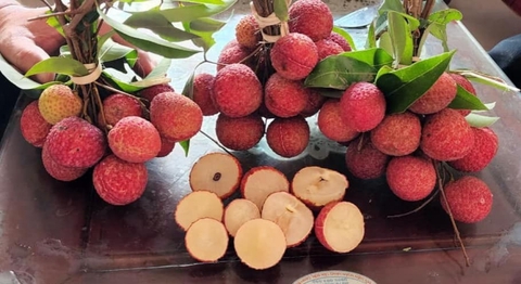 Tin sáng 4-7: Sẽ xây dựng cao tốc TP.HCM - Mộc Bài; Nguy cơ các sân bay ùn tắc trong mùa cao điểm - Ảnh 3. Tin sáng 4-7: Sẽ xây dựng cao tốc TP.HCM - Mộc Bài; Nguy cơ các sân bay ùn tắc trong mùa cao điểm - Ảnh 3.