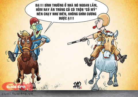 Khi người dân cưỡi ngựa thay xe máy (Phần 2) - Ảnh 3. Khi người dân cưỡi ngựa thay xe máy (Phần 2) - Ảnh 3.