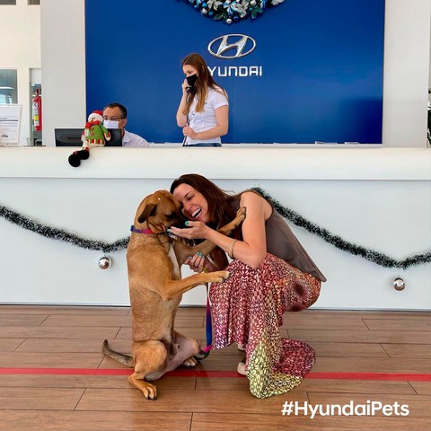 Hyundai tuyển chó làm nhân viên, đặt tên là Tucson và hút khách chưa từng thấy - Ảnh 8. Hyundai tuyển chó làm nhân viên, đặt tên là Tucson và hút khách chưa từng thấy - Ảnh 8.