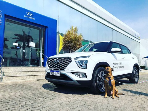 Hyundai tuyển chó làm nhân viên, đặt tên là Tucson và hút khách chưa từng thấy - Ảnh 5. Hyundai tuyển chó làm nhân viên, đặt tên là Tucson và hút khách chưa từng thấy - Ảnh 5.