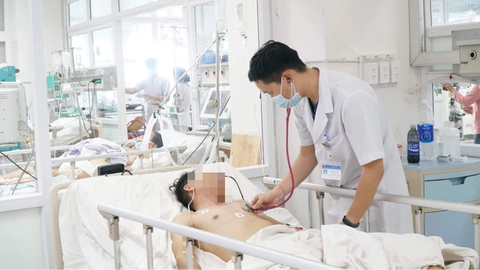 Rủ nhau nhậu nhộng ve sầu, ngộ độc nguyên nhóm - Ảnh 1. Rủ nhau nhậu nhộng ve sầu, ngộ độc nguyên nhóm - Ảnh 1.