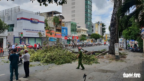 Nghe răng rắc, nhìn lên thấy nhánh cây đã rơi tới và đè 3 người chúng tôi - Ảnh 3. Nghe răng rắc, nhìn lên thấy nhánh cây đã rơi tới và đè 3 người chúng tôi - Ảnh 3.