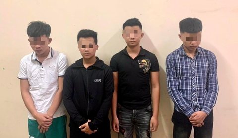 Tạm giữ 5 nghi phạm chặt phá ruộng dưa hấu khiến lão nông khóc ngất - Ảnh 1. Tạm giữ 5 nghi phạm chặt phá ruộng dưa hấu khiến lão nông khóc ngất - Ảnh 1.